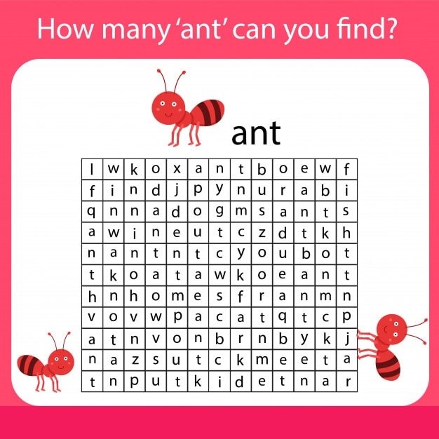 How many ants can you find