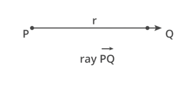 What is a Ray?